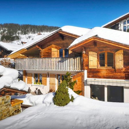 Chalet Le Petit Mazot - Ovo Network La Clusaz Exterior foto